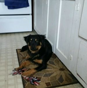 Meet your Posher, Bobbie